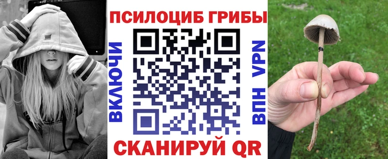 Галлюциногенные грибы мицелий Покровск